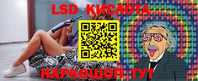 spice Свободный