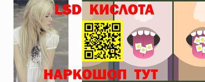 spice Свободный