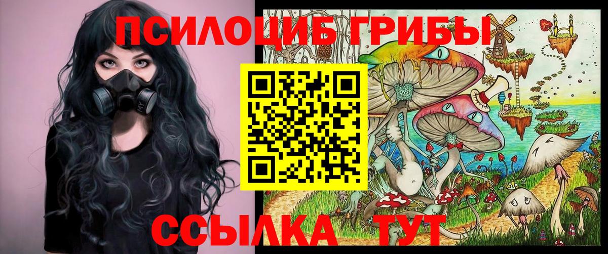 Павловский Посад  Галлюциногенные грибы MAGIC MUSHROOMS  Вход с VPN 