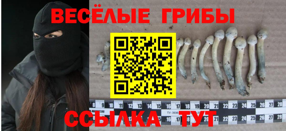 Галлюциногенные грибы мухоморы Павловский Посад